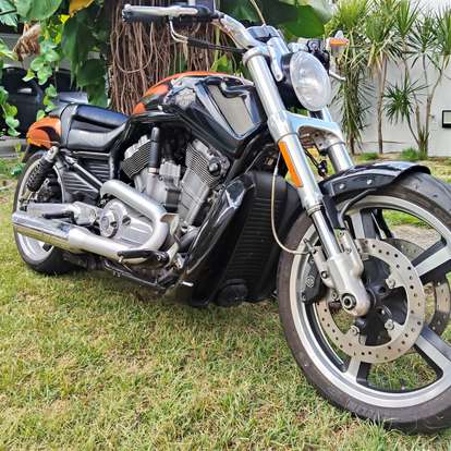 HARLEY-DAVIDSON-V-ROD MUSCLE HARLEY-DAVIDSON-V-ROD MUSCLE-2014
