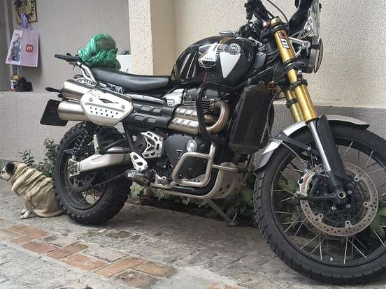 TRIUMPH-BONNEVILLE SCRAMBLER 1200 XE TRIUMPH-BONNEVILLE SCRAMBLER 1200 XE-2024