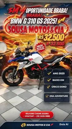 BMW G 310 GS 