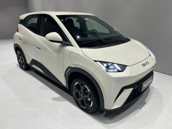 BYD DOLPHIN MINI 38 KW ELÉTRICO GS