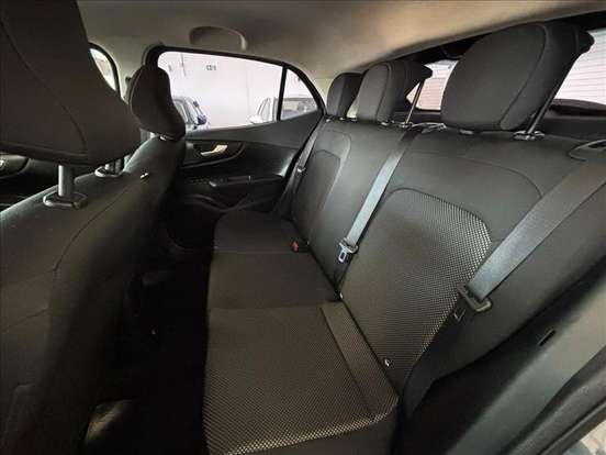 FIAT-PULSE-2022