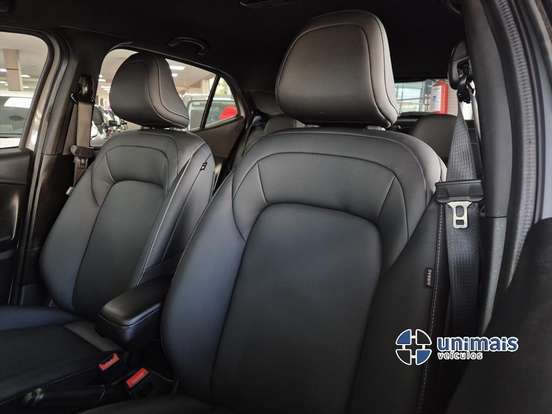 FIAT-PULSE-2025