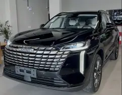GWM HAVAL H6 1.5 FLEX PHEV35 AWD E-TRACTION GWM HAVAL H6 1.5 FLEX PHEV35 AWD E-TRACTION