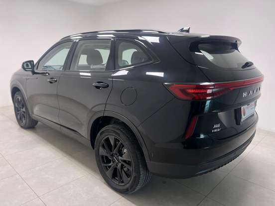 GWM-HAVAL H6-2024