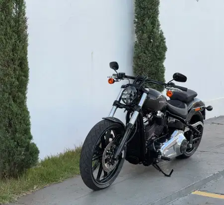 HARLEY-DAVIDSON-SOFTAIL BREAKOUT 114-2018