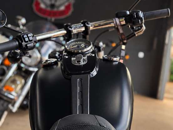 HARLEY-DAVIDSON-DYNA FAT BOB HARLEY-DAVIDSON-DYNA FAT BOB-2013