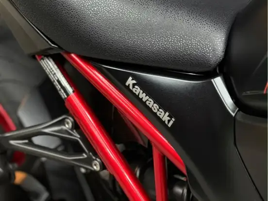 KAWASAKI-Z900 KAWASAKI-Z900-2021