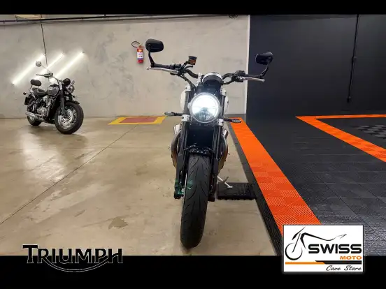 TRIUMPH-SPEED TWIN-2025