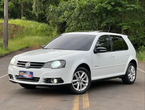 VOLKSWAGEN GOLF 1.6 MI SPORTLINE LIMITED EDITION 8V FLEX 4P MANUAL