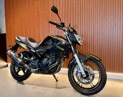 YAMAHA YS 250 FAZER YAMAHA YS 250 FAZER