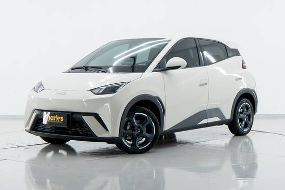 BYD DOLPHIN 44,9 KW ELÉTRICO GS