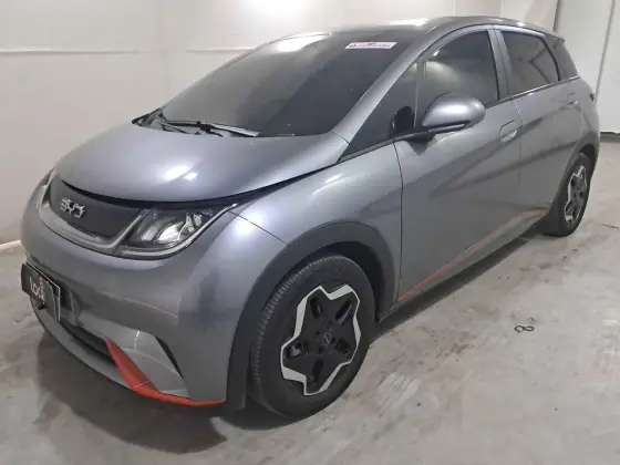 BYD DOLPHIN 44,9 KW ELÉTRICO GS