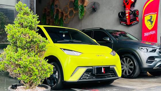 BYD DOLPHIN MINI 38 KW ELÉTRICO