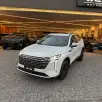 GWM HAVAL H6 1.5 FLEX HEV2 E-TRACTION GWM HAVAL H6 1.5 FLEX HEV2 E-TRACTION
