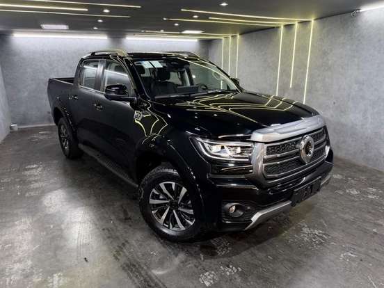 GWM-POER P30-2026
