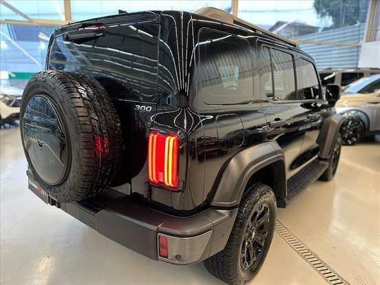 GWM-TANK 300-2025