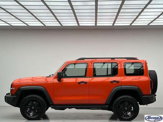GWM-TANK 300-2025
