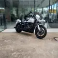 HARLEY-DAVIDSON LOW RIDER S HARLEY-DAVIDSON LOW RIDER S