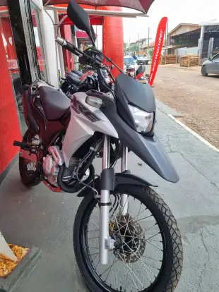 HONDA-XRE 300-2018