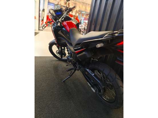 HONDA-XRE 300 ABS-2024
