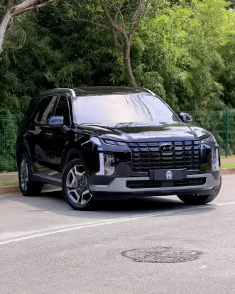 HYUNDAI-PALISADE-2024