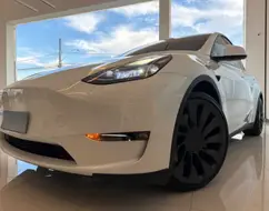 TESLA MODEL Y P100D PERFORMANCE AWD ELÉTRICO TESLA MODEL Y P100D PERFORMANCE AWD ELÉTRICO
