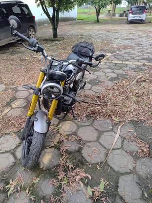 TRIUMPH-SPEED 400 TRIUMPH-SPEED 400-2025