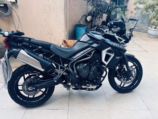 TRIUMPH-TIGER 800 XRX TRIUMPH-TIGER 800 XRX-2019