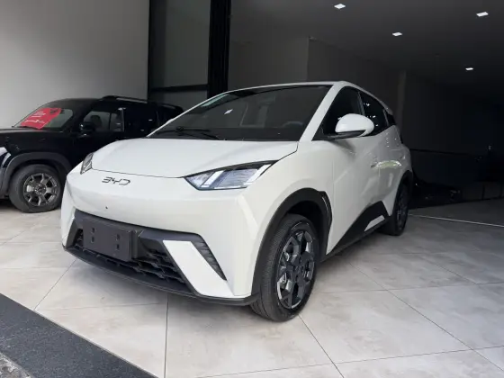 BYD DOLPHIN MINI 38 KW ELÉTRICO GS