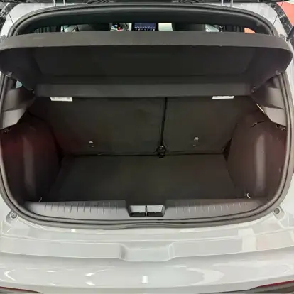 FIAT-PULSE-2024