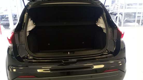 FIAT-PULSE-2022