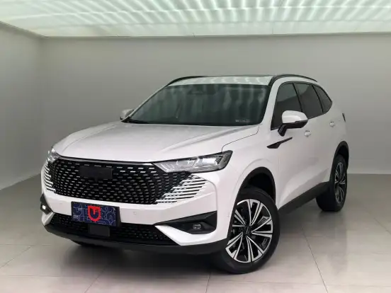 GWM-HAVAL H6-1.5 PHEV19 E-TRACTION GWM-HAVAL H6-2024