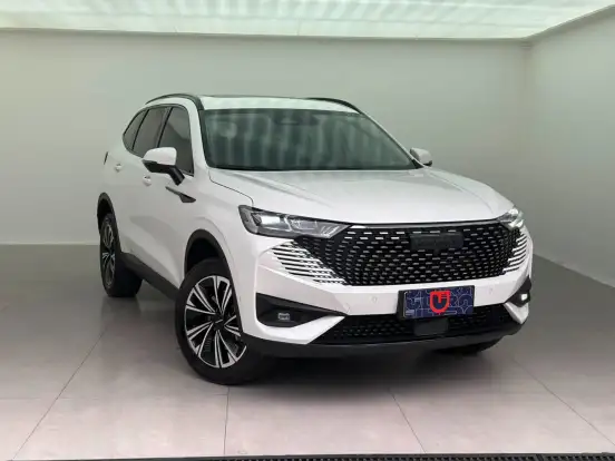 GWM-HAVAL H6-2024