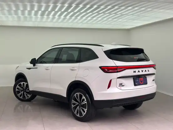 GWM-HAVAL H6-2024