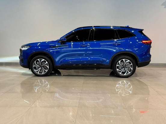 GWM-HAVAL H6-1.5 PHEV AWD E-TRACTION GWM-HAVAL H6-2023