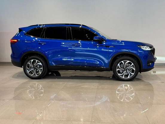 GWM-HAVAL H6-1.5 PHEV AWD E-TRACTION GWM-HAVAL H6-2023