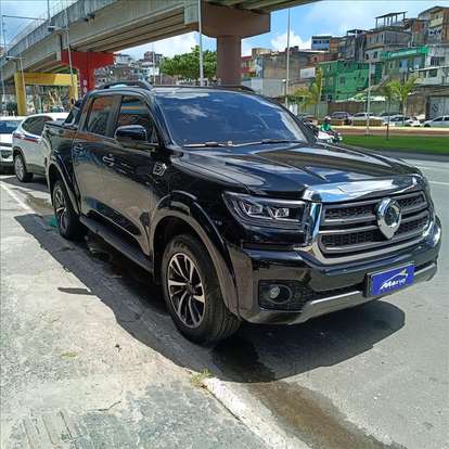 GWM-POER P30-2025