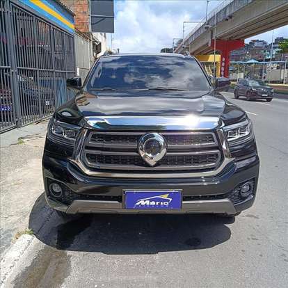 GWM-POER P30-2025