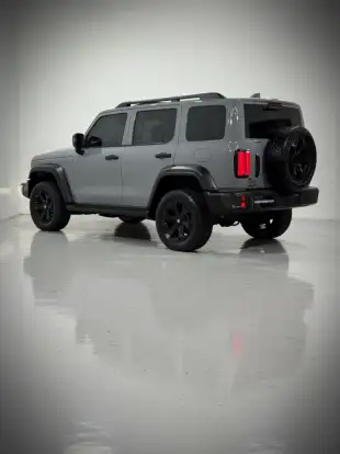 GWM-TANK 300-2025