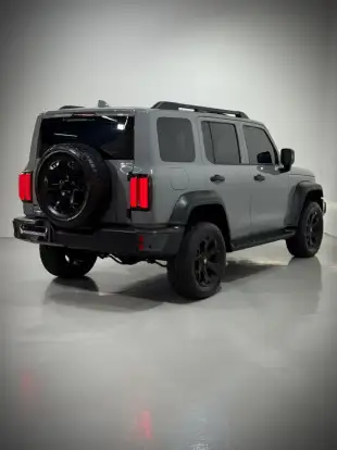 GWM-TANK 300-2025