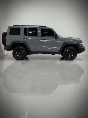 GWM-TANK 300-2025