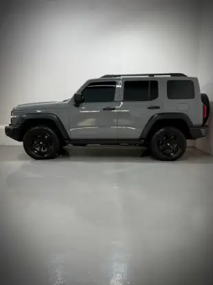 GWM-TANK 300-2025