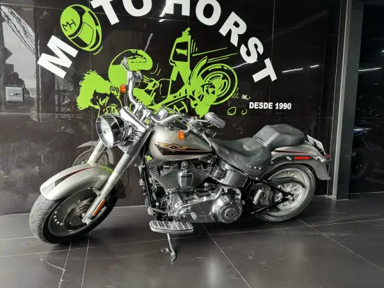 HARLEY-DAVIDSON-FAT BOY FLSTF HARLEY-DAVIDSON-FAT BOY FLSTF-2007