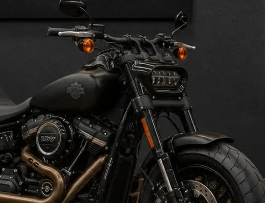 HARLEY-DAVIDSON-SOFTAIL FAT BOB 107-2019