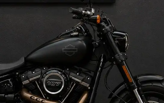 HARLEY-DAVIDSON-SOFTAIL FAT BOB 107-2019