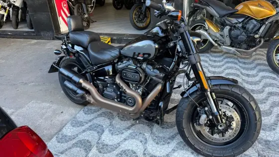 HARLEY-DAVIDSON SOFTAIL FAT BOY 114 
