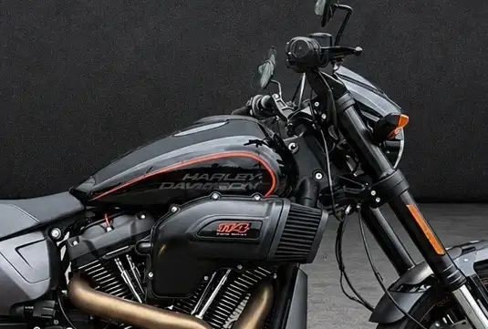 HARLEY-DAVIDSON-SOFTAIL FXDR 114-2019