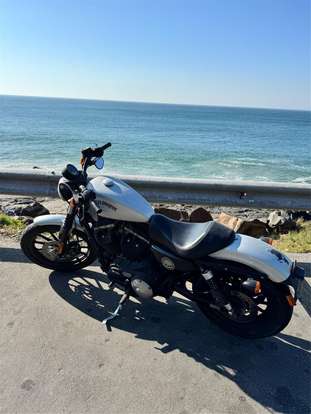HARLEY-DAVIDSON-SPORTSTER IRON 883-2015