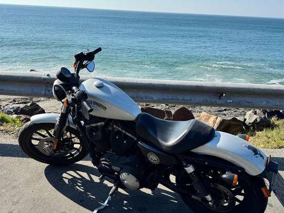 HARLEY-DAVIDSON-SPORTSTER IRON 883 HARLEY-DAVIDSON-SPORTSTER IRON 883-2015