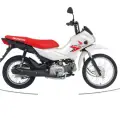 HONDA POP 110i HONDA POP 110i